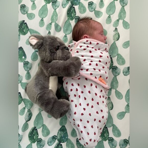 SwaddleMe | Ladybug Original Swaddle | Size Small/Medium, 0-3 Months - Picture 1 of 9